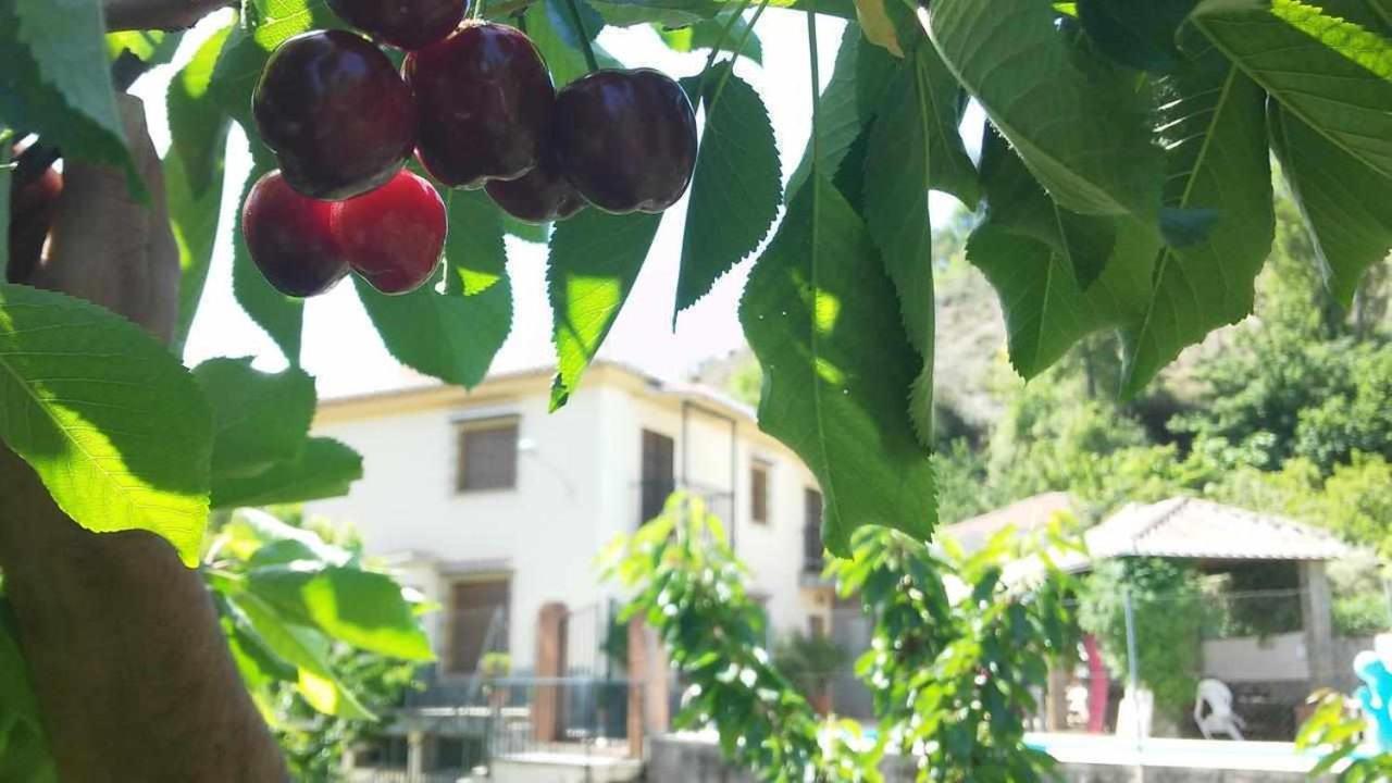 Casa Rural Las Huertas De Roque Моначиль Екстер'єр фото