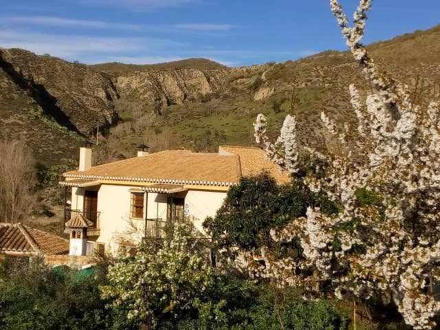 Casa Rural Las Huertas De Roque Моначиль Номер фото