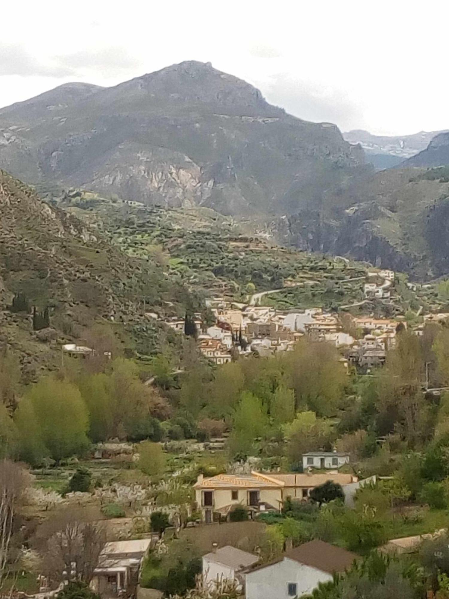 Casa Rural Las Huertas De Roque Моначиль Номер фото