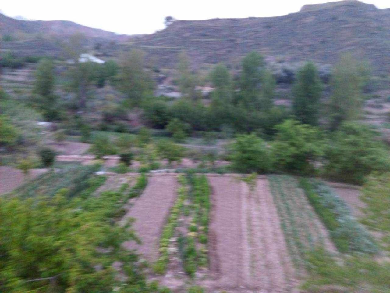 Casa Rural Las Huertas De Roque Моначиль Номер фото
