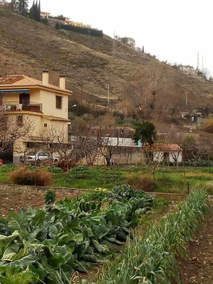 Casa Rural Las Huertas De Roque Моначиль Номер фото